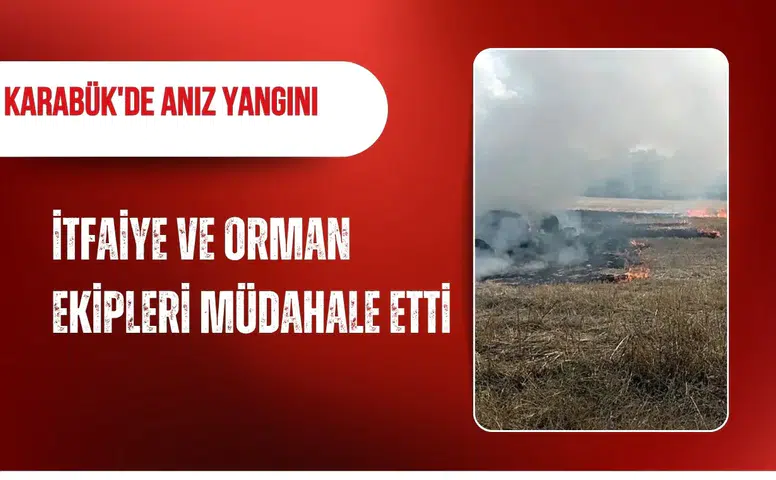 Karabük'de anız yangını: İtfaiye ve orman ekipleri müdahale etti