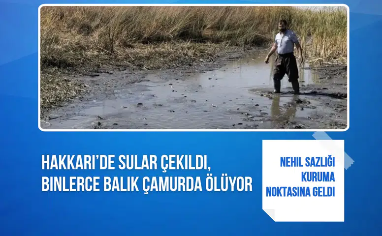 Hakkari’de sular çekildi, binlerce balık telef olma tehlikesiyle karşı karşıya