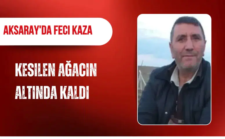Aksaray'da feci kaza: Kesilen ağacın altında kalan 6 çocuk babası yaşamını yitirdi
