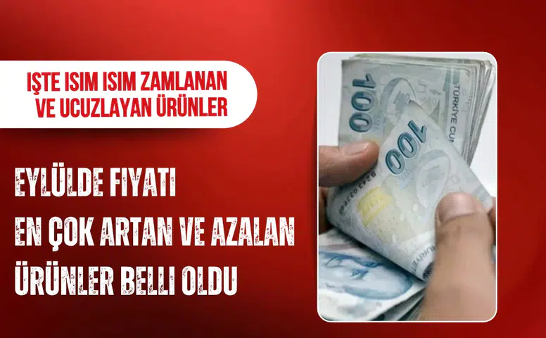 Eylülde fiyatı en çok artan ve düşen ürünler belli oldu