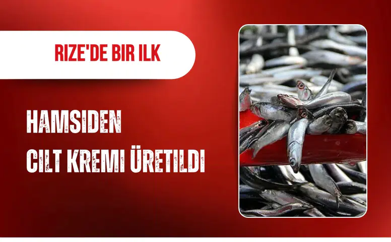 Rize'de bir ilk: Hamsiden cilt kremi üretildi