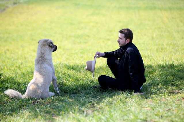 'Kuştepe'nin turizm elçisi' köyünü fotoğrafçılar için cazip hale getiriyor 5