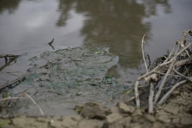 “Marmara Denizi,  Marmara Bölgesi’nin foseptik çukuru haline döndü” 9