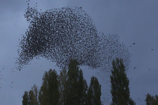 Ölen AA muhabirinden geriye bu fotoğraflar kaldı 7