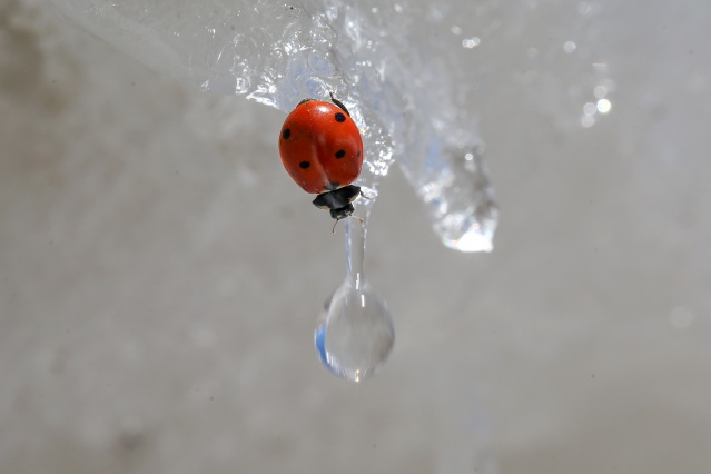 'Dokuzuncu gezegen'de sıra dışı bahar 7