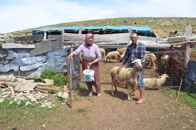 Yörükler yaylalara yerleşmeye başladı 7