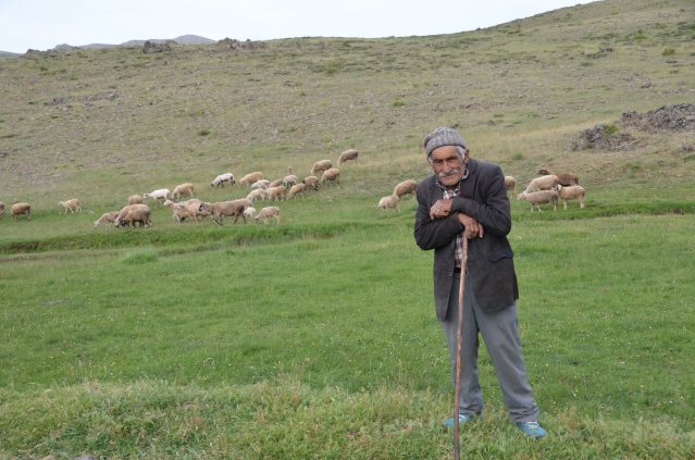 Yörükler yaylalara yerleşmeye başladı 3