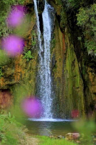Ölen AA muhabirinden geriye bu fotoğraflar kaldı 10