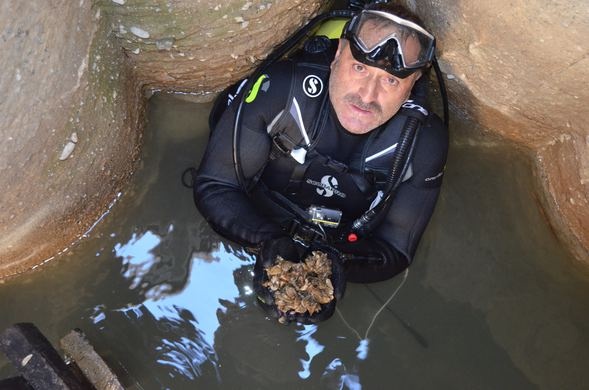 Tedirginlik yaratan konuya bakanlık el attı 1