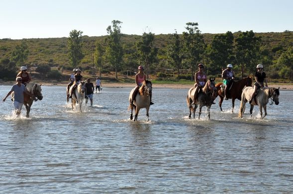 Turistlerden atlı safari turuna büyük ilgi 1