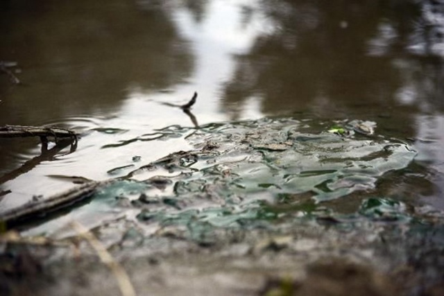 “Marmara Denizi,  Marmara Bölgesi’nin foseptik çukuru haline döndü” 2