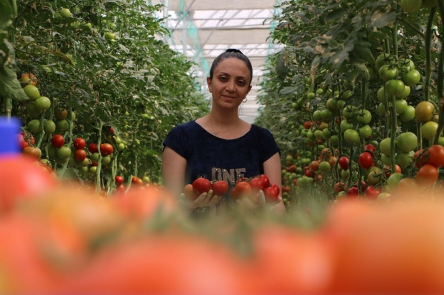 Topraksız tarım,  kadınlara iş kapısı oldu 9