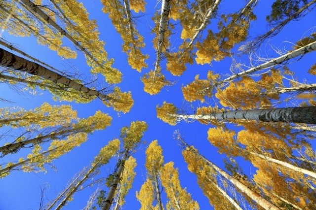 Ölen AA muhabirinden geriye bu fotoğraflar kaldı 17