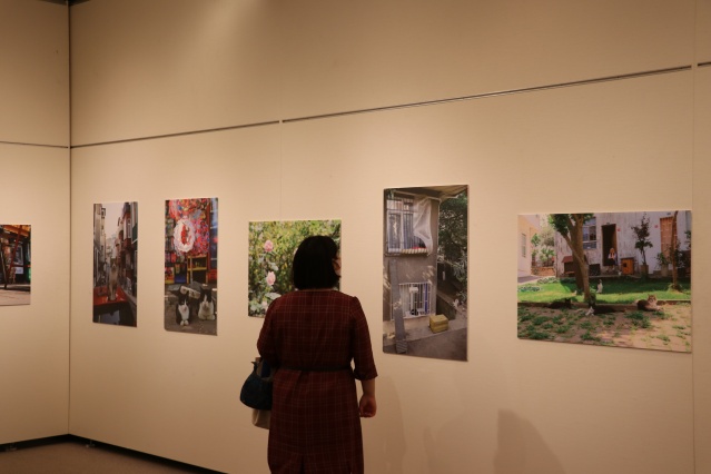 Tokyo’da "Türk kedisi" fotoğraf sergisi açıldı 2