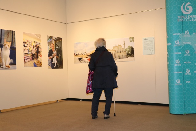 Tokyo’da "Türk kedisi" fotoğraf sergisi açıldı 7