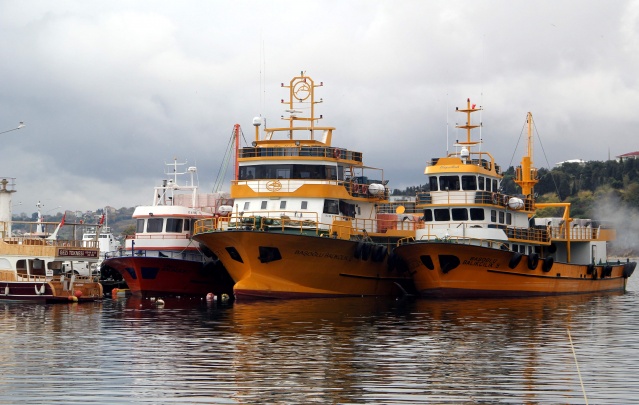 Karadeniz'de balıkçılar ağları "hamsi" için onarıyor 5