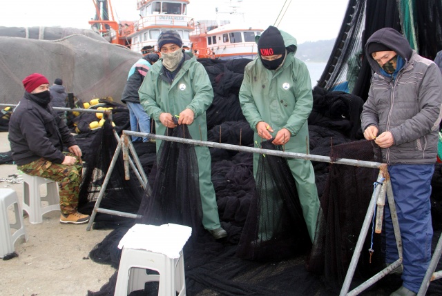 Karadeniz'de balıkçılar ağları "hamsi" için onarıyor 7