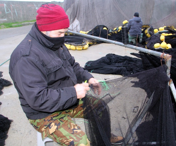 Karadeniz'de balıkçılar ağları "hamsi" için onarıyor 3