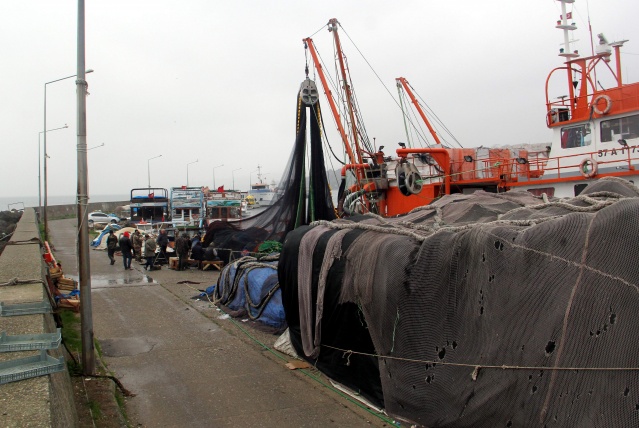 Karadeniz'de balıkçılar ağları "hamsi" için onarıyor 10