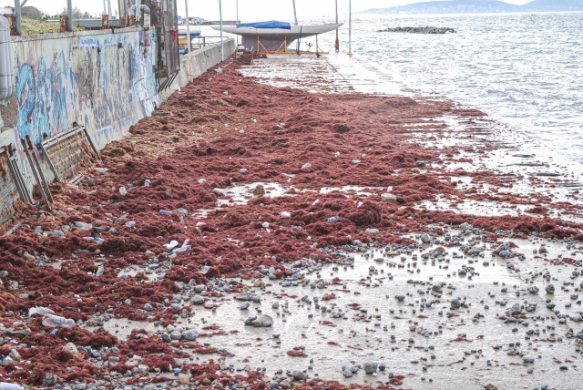 Caddebostan Sahili kırmızıya büründü 3