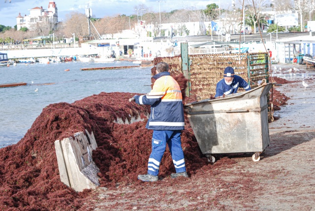 Caddebostan Sahili kırmızıya büründü 2