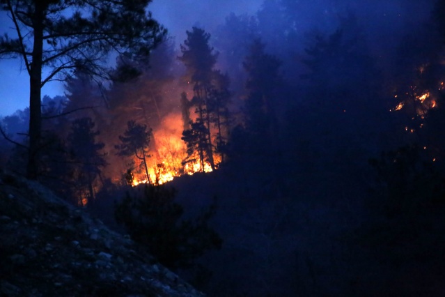 Kastamonu'da orman yangını mahalleye sıçradı 2