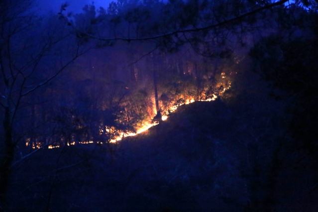 Kastamonu'da orman yangını mahalleye sıçradı 4