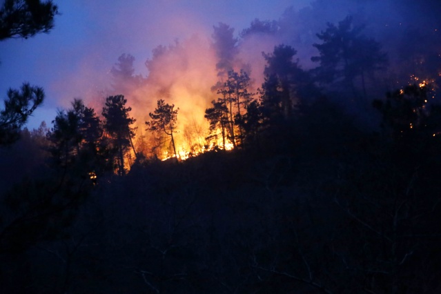 Kastamonu'da orman yangını mahalleye sıçradı 6