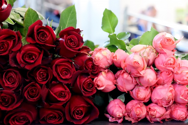 Çiçek mezatlarını "altın gün" heyecanı sardı 12