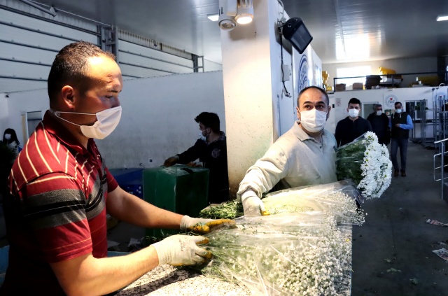 Çiçek mezatlarını "altın gün" heyecanı sardı 2