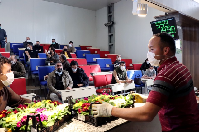 Çiçek mezatlarını "altın gün" heyecanı sardı 13