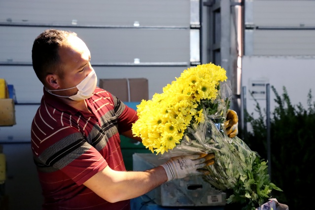 Çiçek mezatlarını "altın gün" heyecanı sardı 15