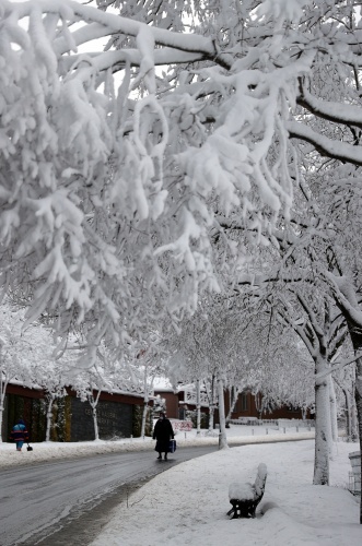 İstanbul beyaza büründü 6