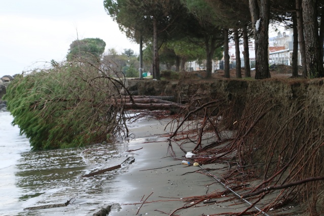 Karadeniz'de 3 metreyi bulan dalgalar tahribata yol açtı 1