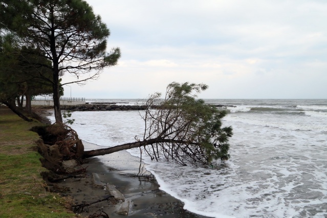 Karadeniz'de 3 metreyi bulan dalgalar tahribata yol açtı 2