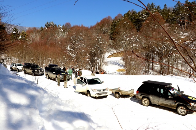 Bolu Dağı'ndaki yılkı atlarına yem bırakıldı 12