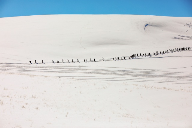 Van'da "çığ timi" afetlerle mücadeleye hazır 11