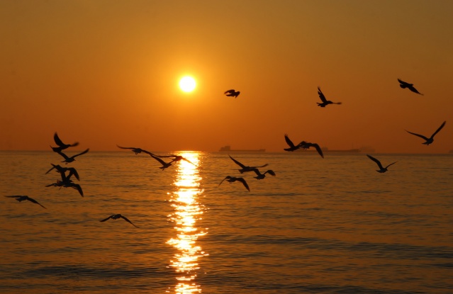 Tekirdağ'da gün doğumu 4