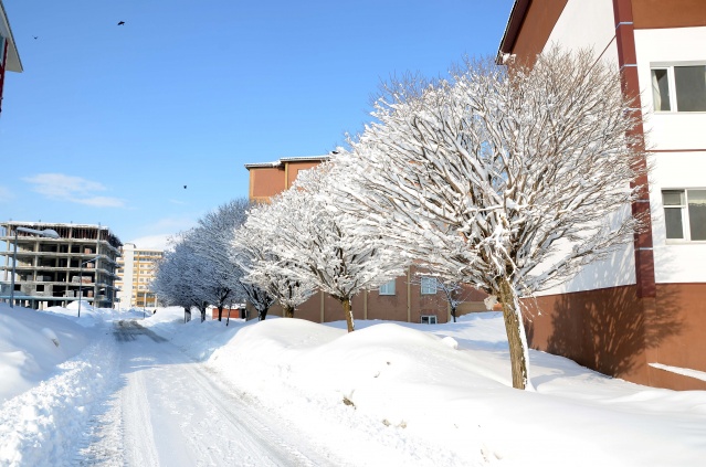 Doğu'da 450 yerleşim yerine ulaşım sağlanamıyor 13