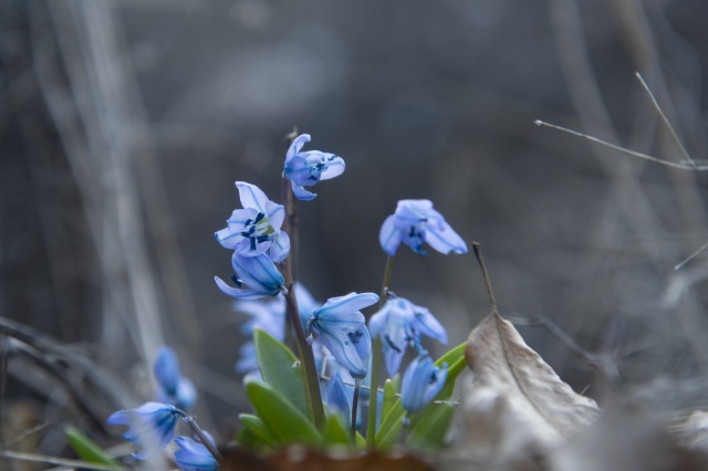 Sarp dağların arasındaki Pülümür Vadisi doğasıyla ziyaretçilerini cezbediyor 1