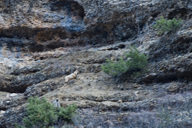 Sarp dağların arasındaki Pülümür Vadisi doğasıyla ziyaretçilerini cezbediyor 2