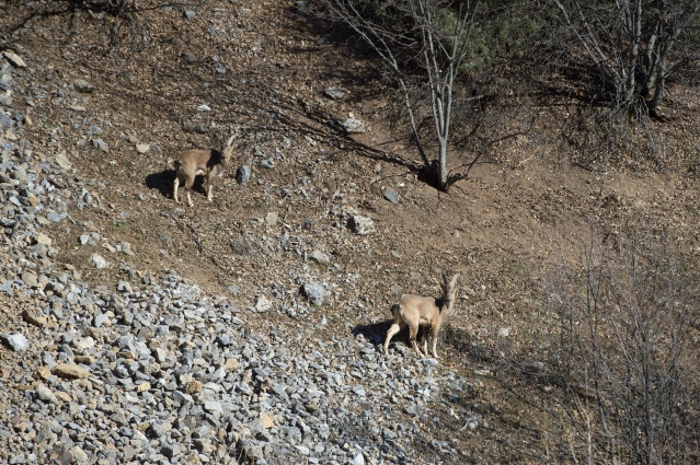 Sarp dağların arasındaki Pülümür Vadisi doğasıyla ziyaretçilerini cezbediyor 15