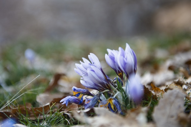 Sarp dağların arasındaki Pülümür Vadisi doğasıyla ziyaretçilerini cezbediyor 3