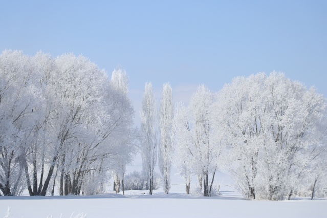 Ağrı'da dondurucu soğuklar martta da etkisini sürdürüyor 6