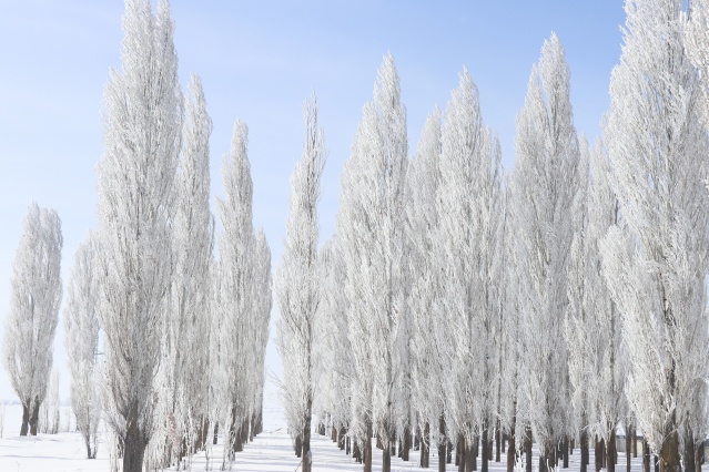 Ağrı'da dondurucu soğuklar martta da etkisini sürdürüyor 18