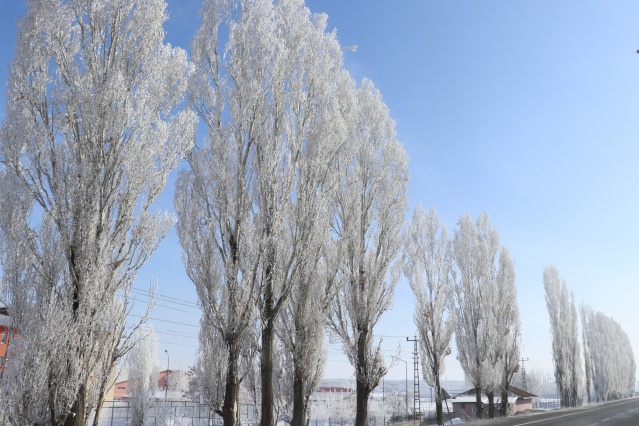 Ağrı'da dondurucu soğuklar martta da etkisini sürdürüyor 13