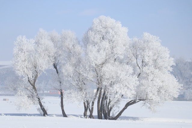 Ağrı'da dondurucu soğuklar martta da etkisini sürdürüyor 9