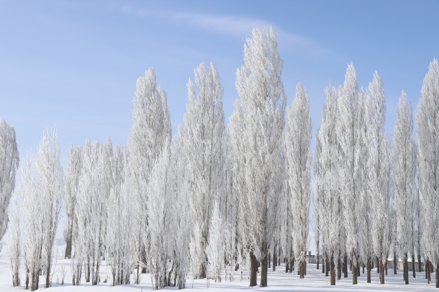 Ağrı'da dondurucu soğuklar martta da etkisini sürdürüyor 16