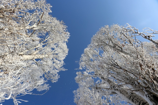 Ağrı'da dondurucu soğuklar martta da etkisini sürdürüyor 19