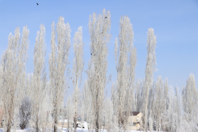 Ağrı'da dondurucu soğuklar martta da etkisini sürdürüyor 20